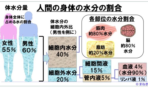 云南白药胶囊32粒价格表-云南白药胶囊多少钱一瓶32粒、云南白药胶囊32粒价格表 -云南白药胶囊32粒说明书网